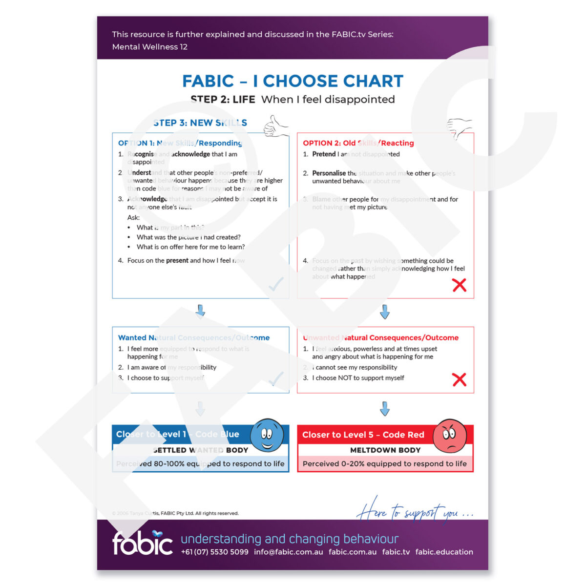 FABIC I CHOOSE CHART 07 When I feel disappointent