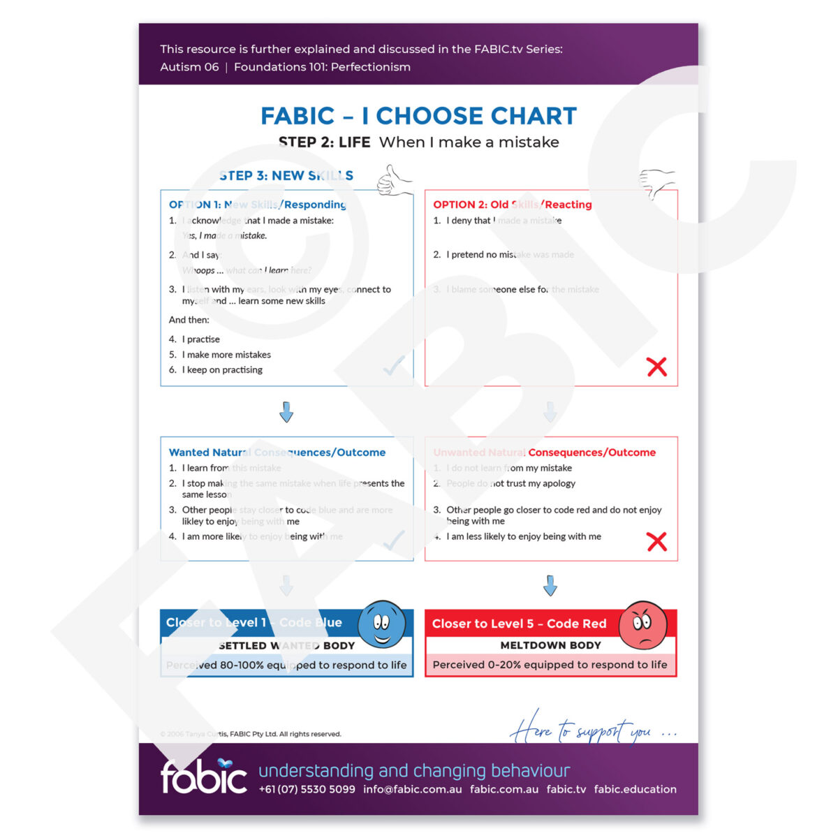 FABIC I CHOOSE CHART 11 When I make a mistake