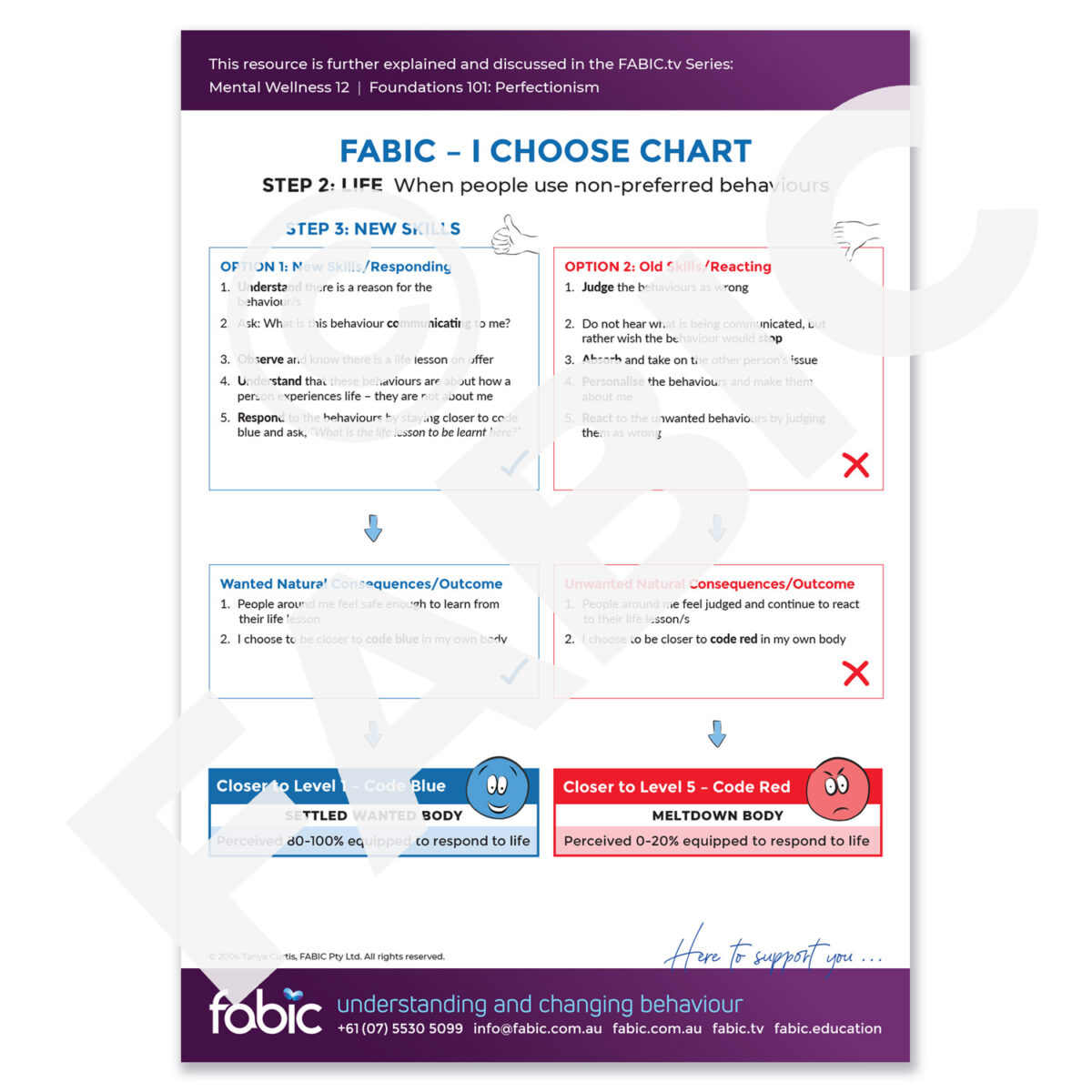 FABIC I CHOOSE CHART 20 When people use non prefered behaviours