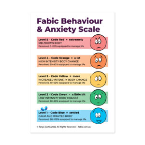22 FABIC COMMUNICATION CARDS BEHAVIOUR SCALE 2