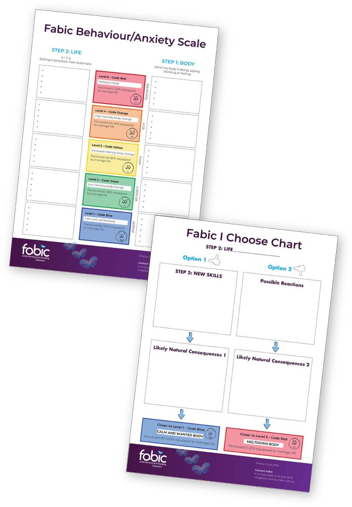 Behaviour Scale I Choose Chart