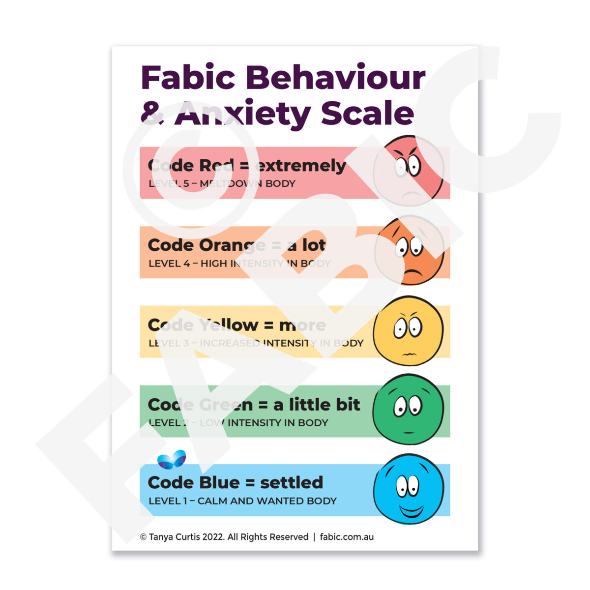 FABIC COMM CARDS Behaviour Scale condensed card only
