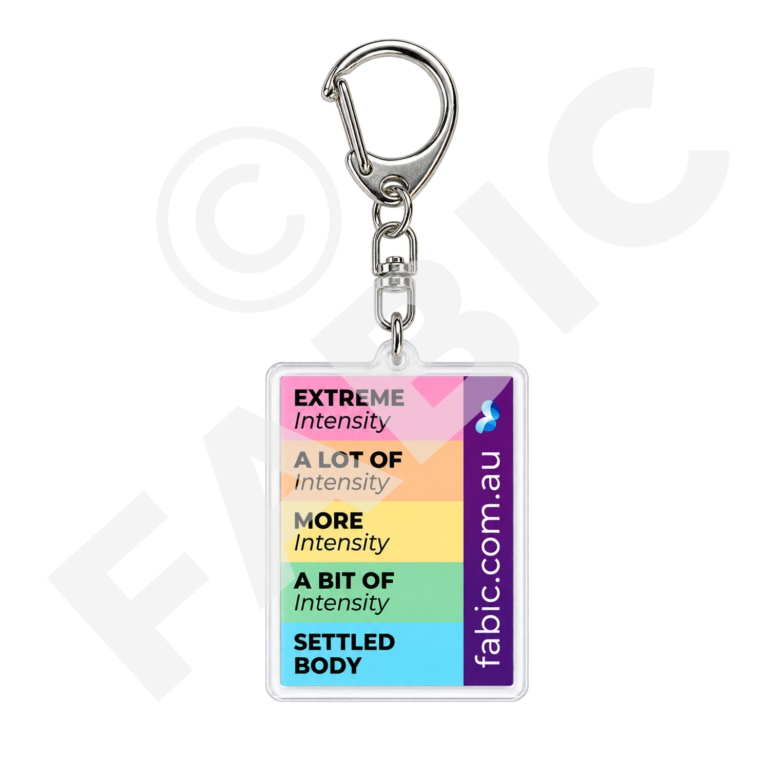 FABIC Key Ring Behaviour Scale back Watermark