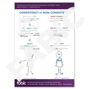 FABIC POSTER 08 Consistency vs Non Consistency