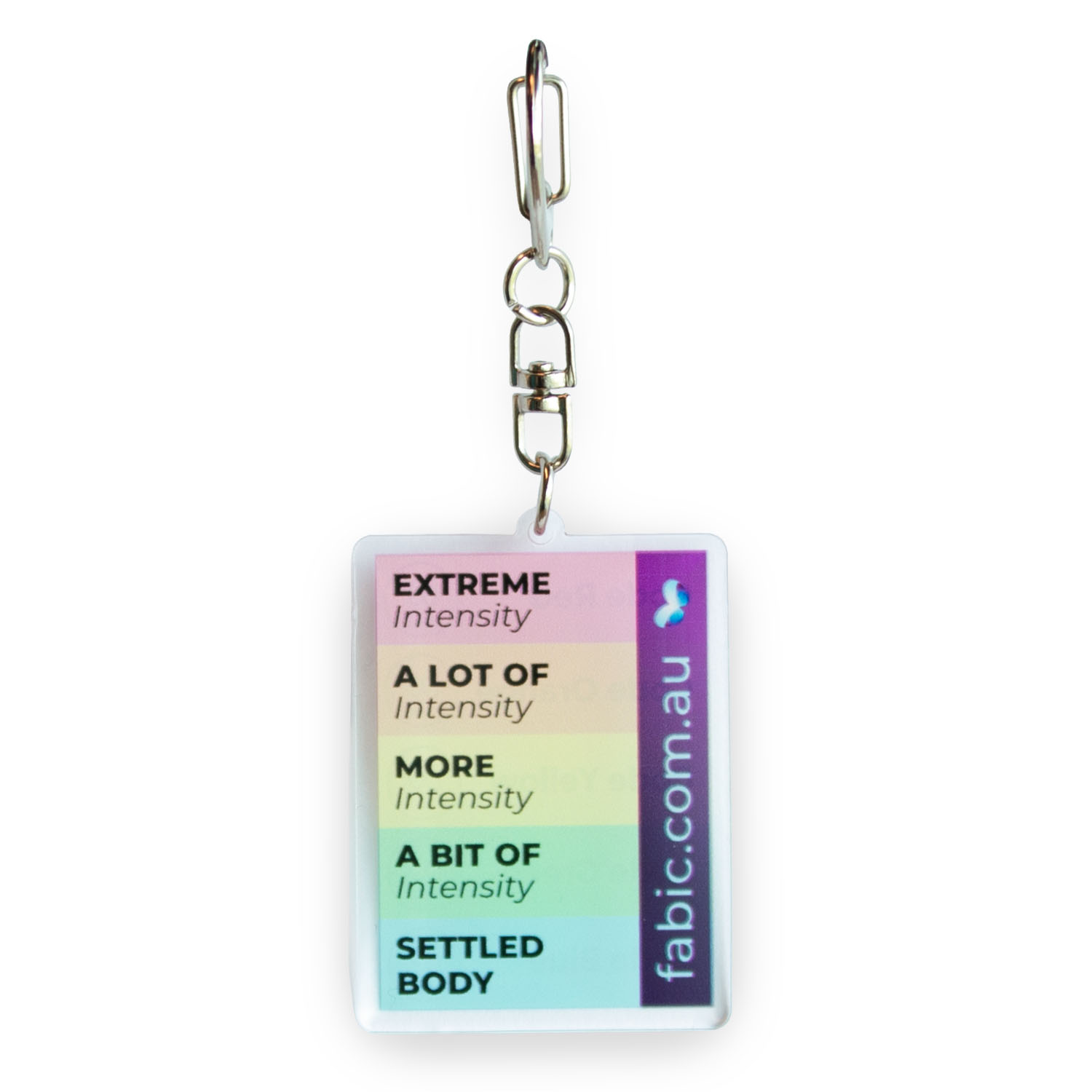 FABIC Key Ring Behaviour Scale Words