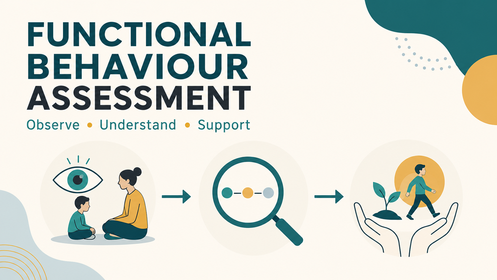 functional behaviour assessment